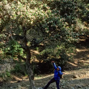 Rhus ovata and Ralph Philbrick
