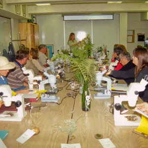Adult Classes