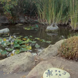 Nature Loves a Detective, marker