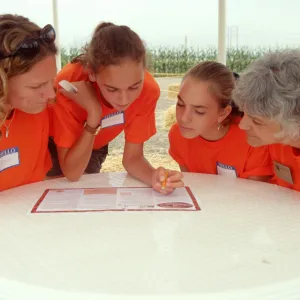 Maize Maze
