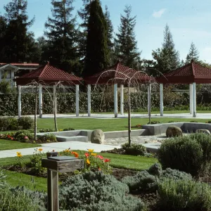 San Francisco Peninsula Trip with Mary Carroll and Lila Burgess