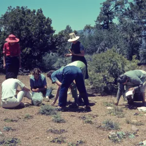 Lockwood Valley Trip