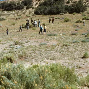 Southern California Botanists in Lockwood Valley
