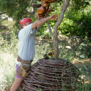 Big Bugs, Honey Bee setup