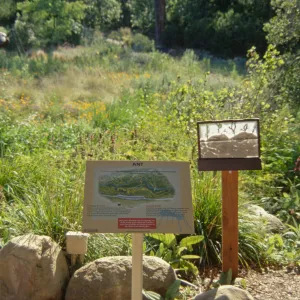 Big Bugs, Giant Ant in the Meadow, Ant interpretive exhibit