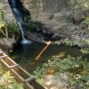 Big Bugs, damselfly in the pool beneath the Mission dam
