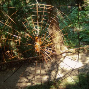 Big Bugs, giant spider and spiderweb in the Redwood Section