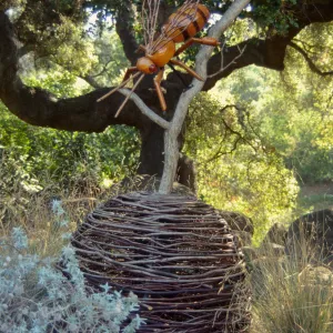 Big Bugs, giant bee and beehive