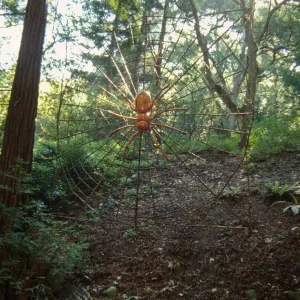Big Bugs, giant spider and spider web