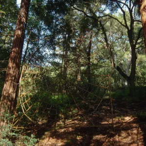 Big Bugs Spider Installation