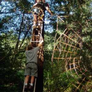 Big Bugs Spider Installation