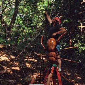 Big Bugs Spider Installation