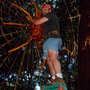 Big Bugs Spider Installation