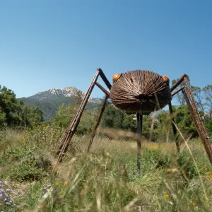 Big Bugs Ant Installation