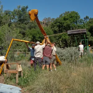 Big Bugs, Praying Mantis setup