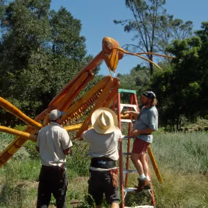 Big Bugs, Praying Mantis setup