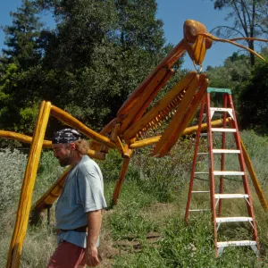 Big Bugs, Praying Mantis setup