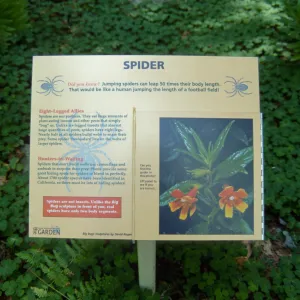 Big Bugs Spider sign