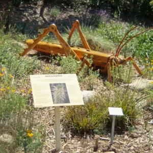 Big Bugs Grasshopper installation