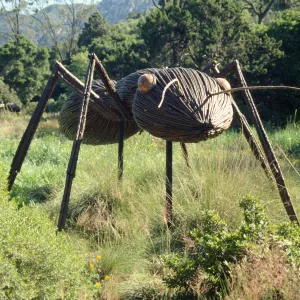 Big Bugs Ant installation