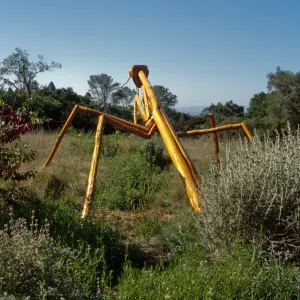 Big Bugs Praying Mantis installation