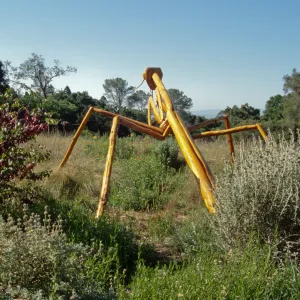 Big Bugs Praying Mantis installation
