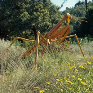 Big Bugs Praying Mantis installation