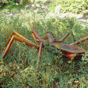 Big Bugs Assassin Bug installation