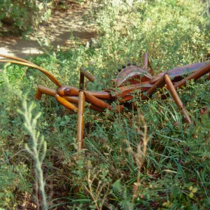 Big Bugs Assassin Bug installation