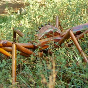 Big Bugs Assassin Bug installation