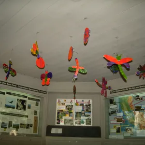 Big Bugs in Information Kiosk