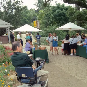 Big Bugs, entrance oak