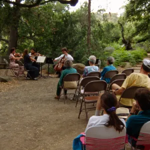 Music Academy of the West Concert, under the Meadow Oaks