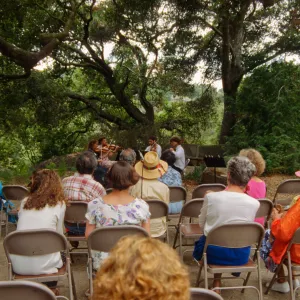Music Academy of the West Concert, under the Meadow Oaks