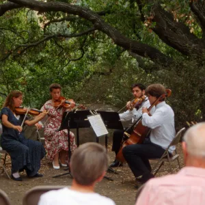 Music Academy of the West Concert, under the Meadow Oaks