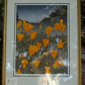 Art Inspired in the Garden Fundraiser