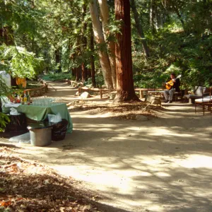 Redwood Dinner 1999