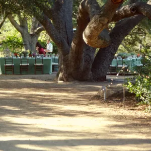Redwood Dinner 1999