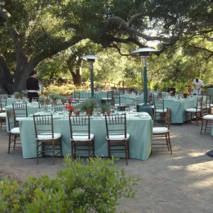Redwood Dinner 1999