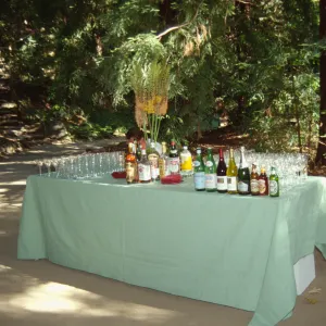Redwood Dinner 1999