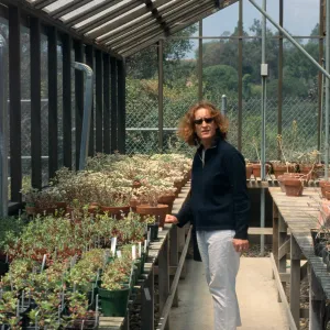 Dudleya NAPCC Evaluation, Betsy Collins, Dudleya nesiotica in clay pots