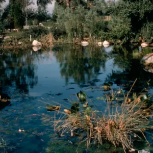 Upper pool near Home Demonstration Garden