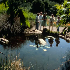 Adjacent to the Meadow Section of the Santa Barbara Botanic Garden, this alluring pond with its native grasses is part of the reason so many people enjoy a casual stroll or a deeper look at the fascinating world of California plants.