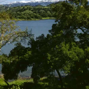 Lake Cachuma, snow on the San Rafaels, green hills, oak savannah and chaparral