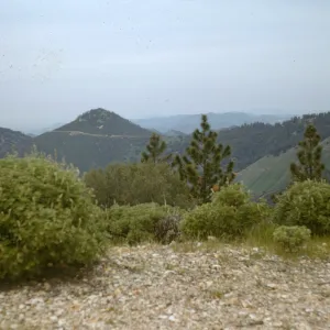 Zaca Peak from Figueroa Mountain