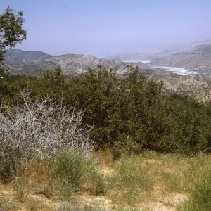 Cuyama River valley from Reyes Peak