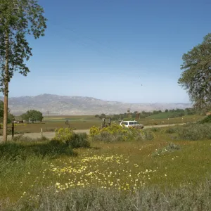 Aliso Park Road