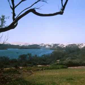 Dune Lakes