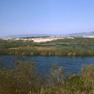 Dune Lakes