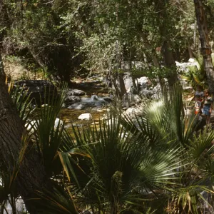 Andreas Canyon, children